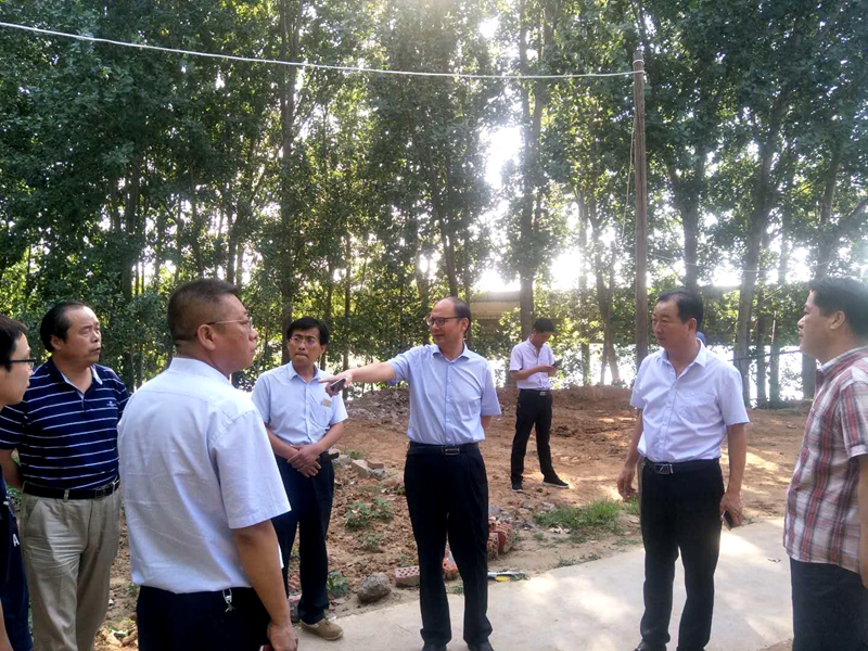 区委书记冯建伟调研河道治理工作