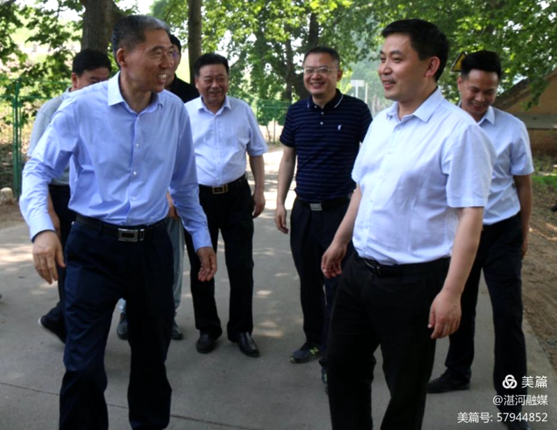 市委常委组织部长张明新到湛河区调研基层党建和乡村振兴工作
