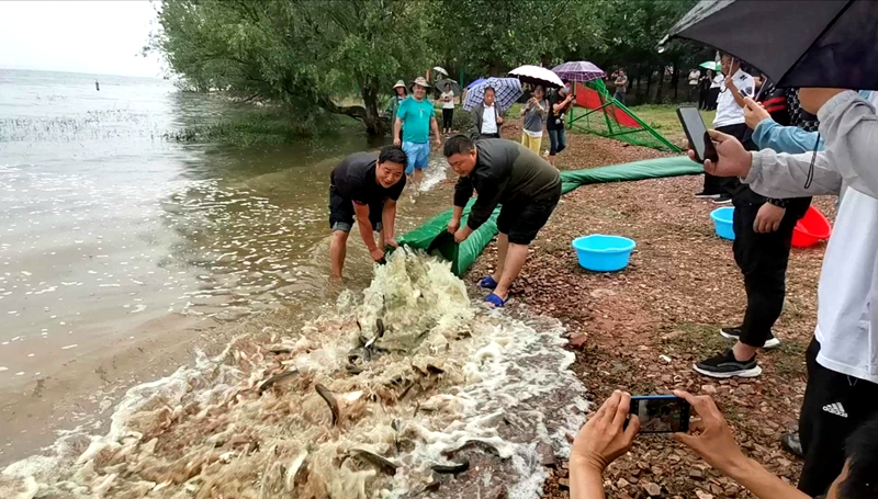 区白龟湖综治办参加2020年增殖放流活动2.jpg