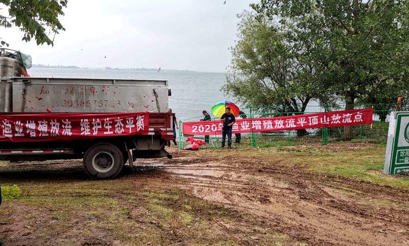 区白龟湖综治办参加2020年增殖放流活动1.jpg