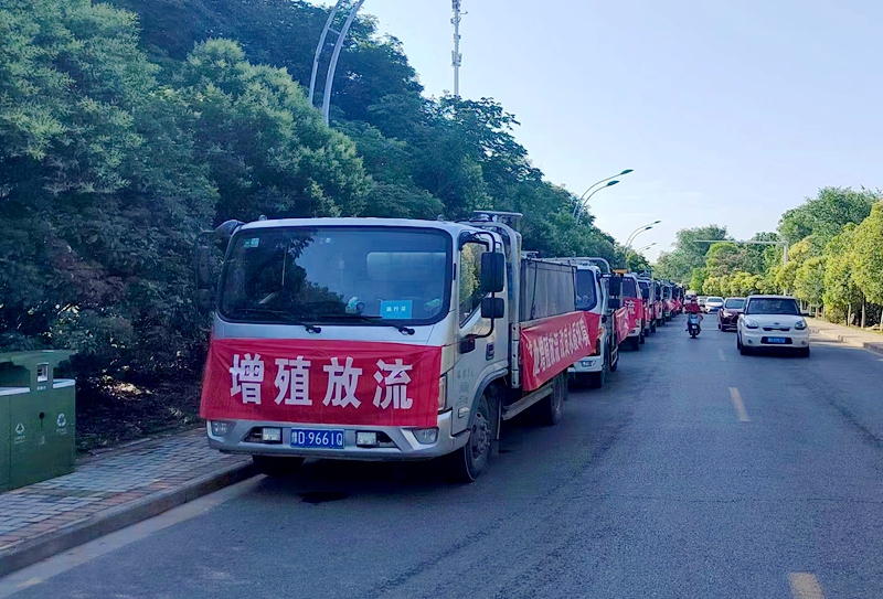 6.6开展增殖放流活动 改善湖区生态环境1.jpg
