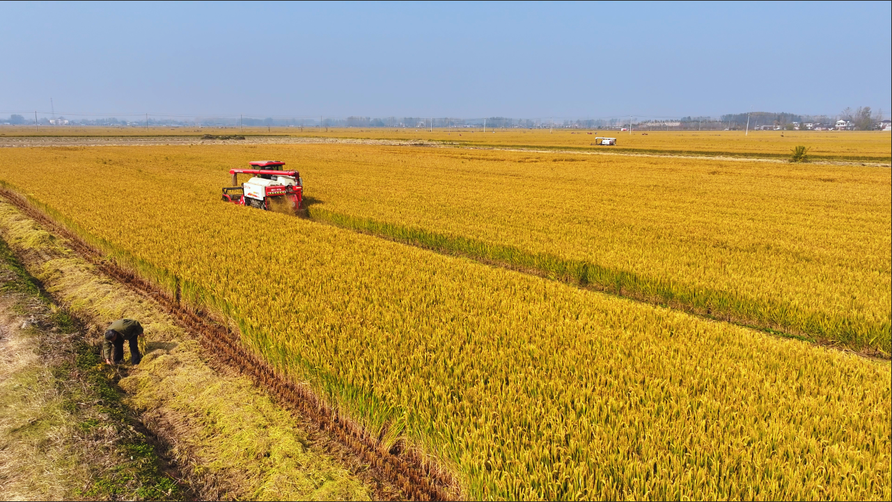 d9b59076-87d0-4e59-b38f-fde5c0968ae9.png d9b59076-87d0-4e59-b38f-fde5c0968ae9.png