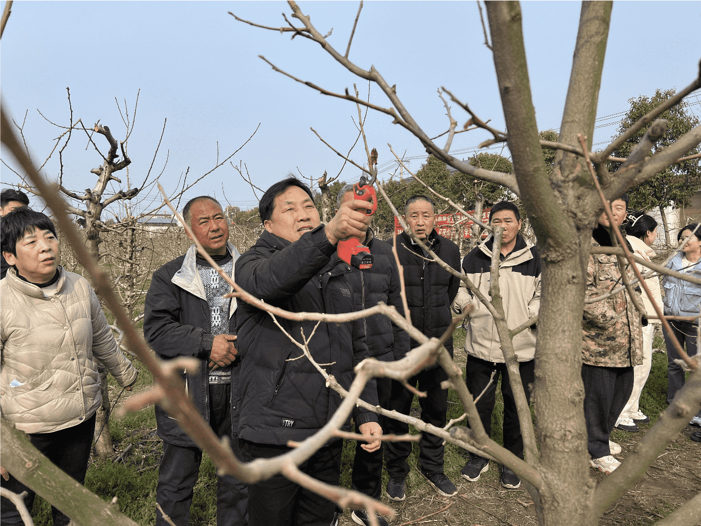 图片新.png
